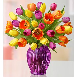 30 Beautiful Spring Tulips @ 1-800-Flowers.com