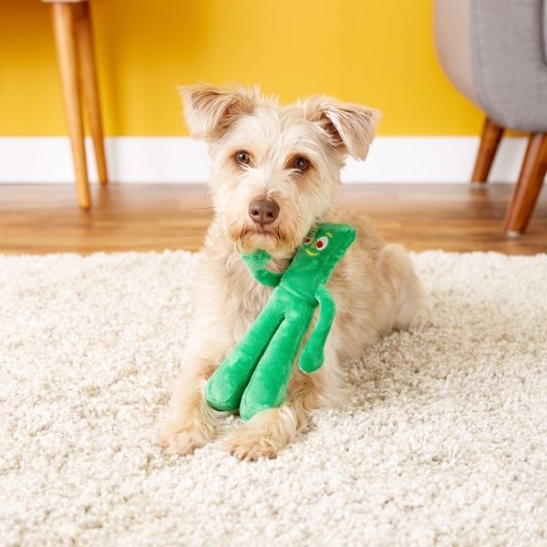 Gumby Squeaky Plush Dog Toy, Gumby, Plush - Chewy.com
