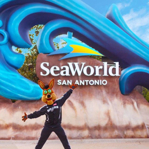 SeaWorld Single Day Ticket Limited Time Offer