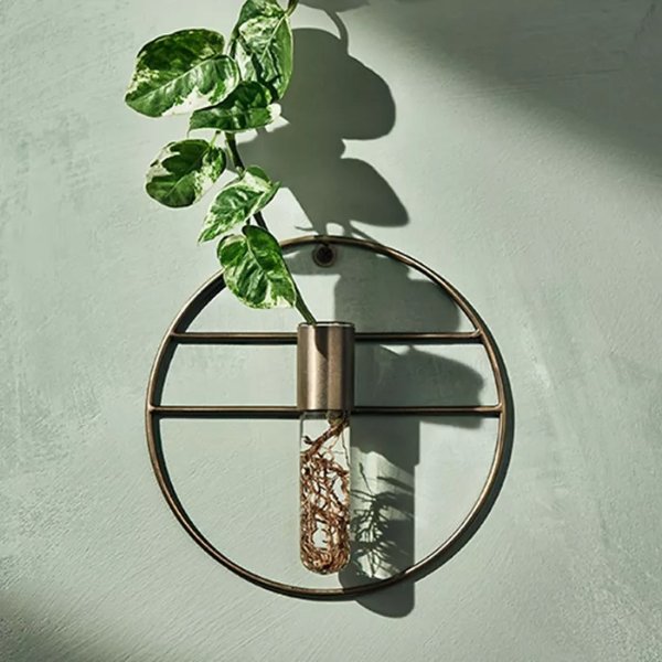 7&#34; x 1.5&#34; Wall Mounted Metal Plant Stand Vessel - Hilton Carter for Target