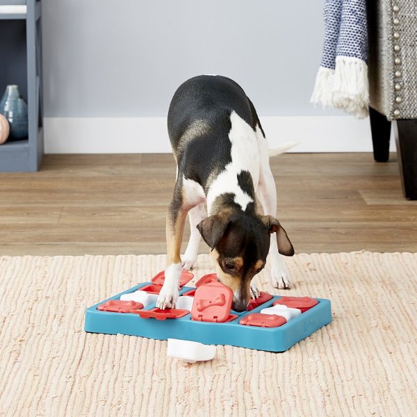 Nina Ottosson by Outward Hound Brick Puzzle Game Dog Toy - Chewy.com