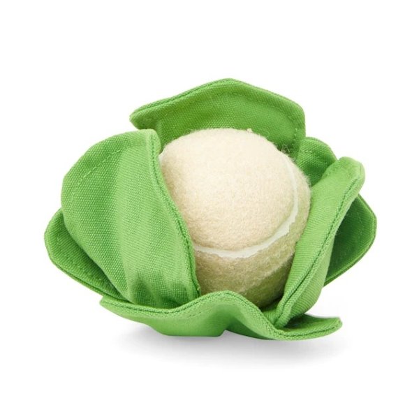 Bond & Co. Started As A Bottle Recycled & Reinvented So Sprout Cauliflower Tennis Ball Dog Toy, Small | Petco