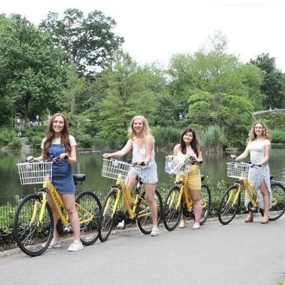 纽约中央公园自行车租赁