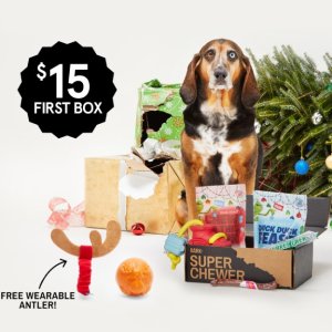 Last Day: with 6 and 12 month plans @ Superchewer by barkbox