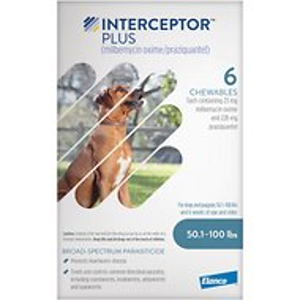 Interceptor Plus and Credelio Dog Chewable Tablet on Sale