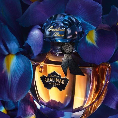 New Release GUERLAIN SHALIMAR MILL SIME IRIS EDP 50ml 135