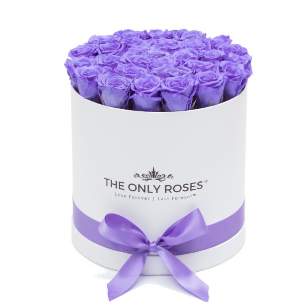 Purple Preserved Roses | Medium Round White Huggy Rose Box