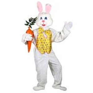 Professional Deluxe Easter Bunny Costume - One Size