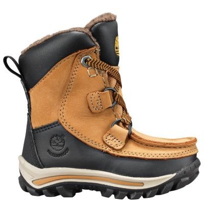 Toddler Chillberg Waterproof Winter Boots | Timberland US Store