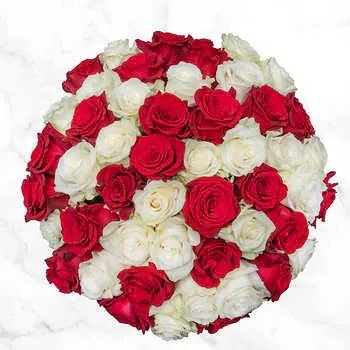 Valentine's Day Pre-Order 50-stem Red & White Roses