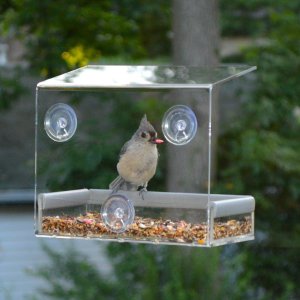 Petfusion Tranquility Window Bird Feeder in PREMIUM LUCITE ACRYLIC