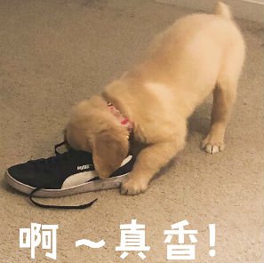 真香.jpg