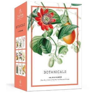 New York Botanical Garden植物花卉插画明信片100张