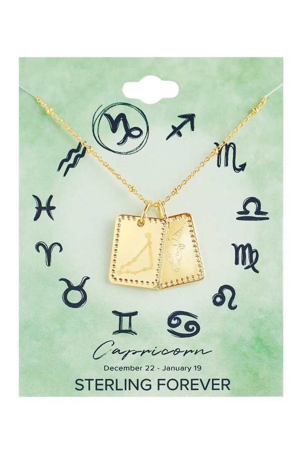 14K Gold Plated Brass Zodiac Tag Necklace - Capricorn