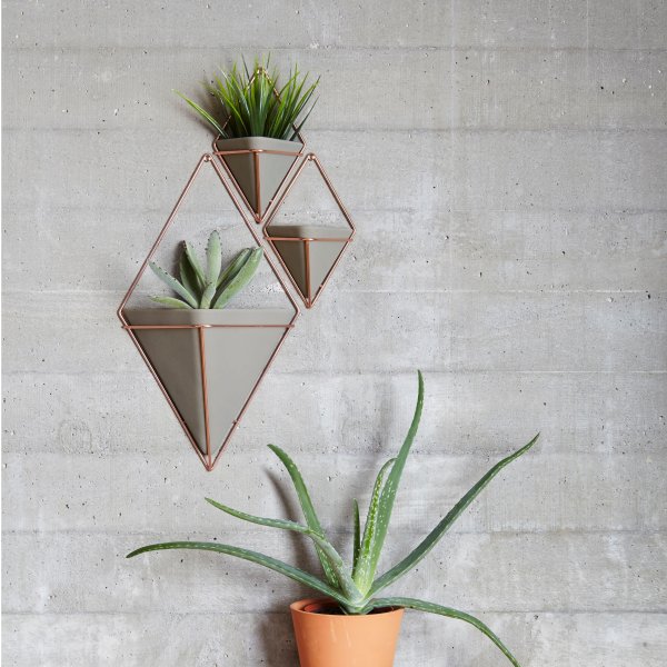 Trigg Hanging Planter Vase & Geometric Wall Decor Container - Great For Succulent Plants, Air Plant