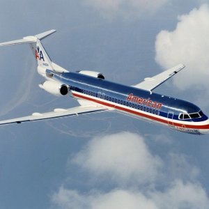 American Airlines Bug Price