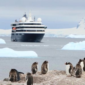 Antarctica Expeditions Get a Free Suite Upgrade On Luxe, All-Incl.