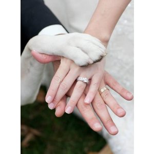  wedding rings @ Blue Nile
