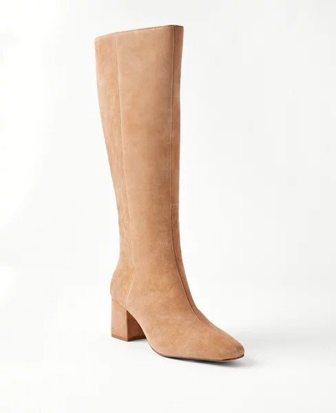 Suede Tall Block Heel Boots | Ann Taylor