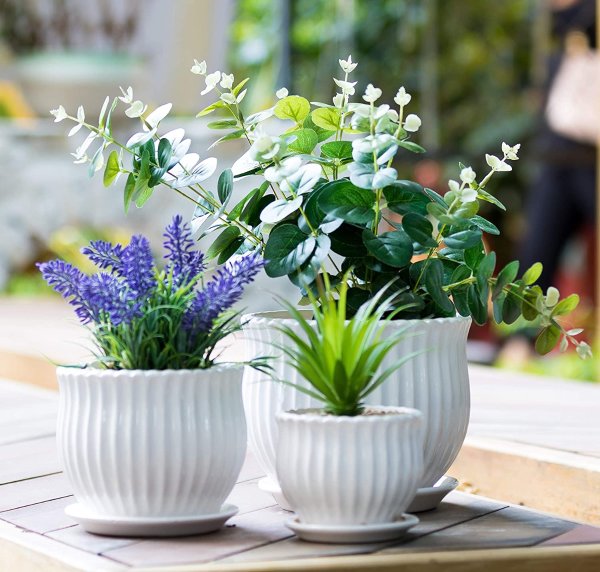 Nattol Ceramic Flower Plant Pots Set of 3