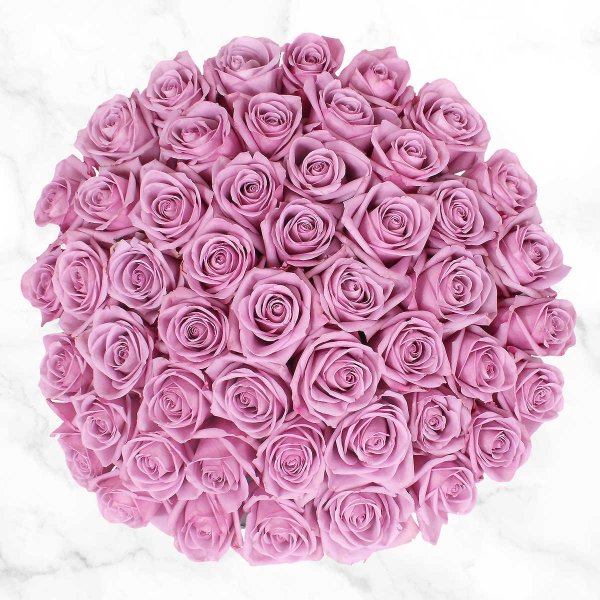 50朵紫玫瑰