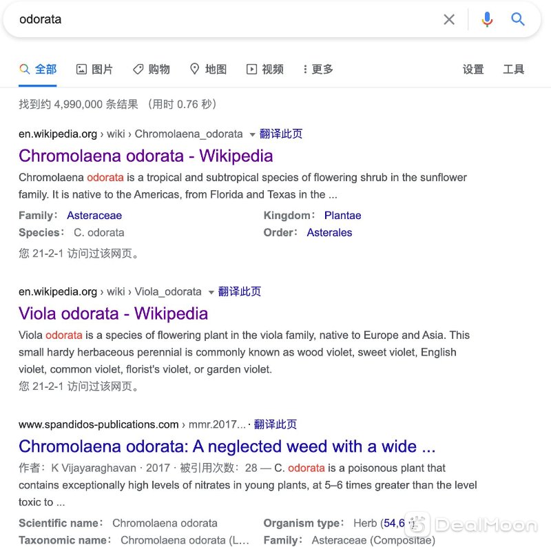 屏幕快照 2021-02-01 下午2.59.42.png
