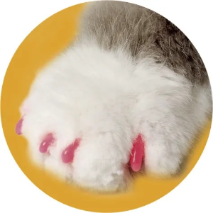 Soft Claws 猫咪美甲贴，做整条街上超时尚的小喵喵
