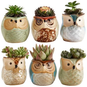 SUN-E SE Owl Pot Ceramic Flowing Glaze Base Serial Set Succulent Plant Pot 6pcs