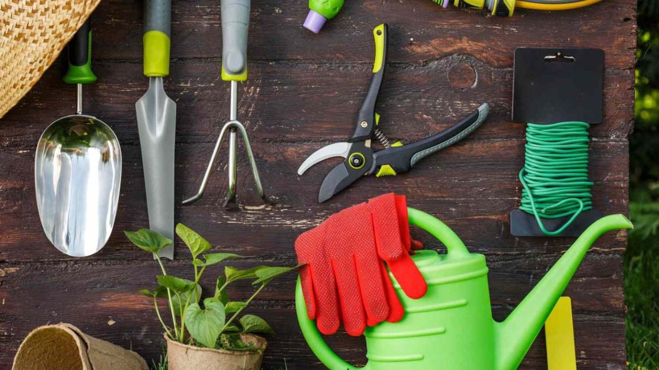 2024 Amazon好用的园艺工具推荐：轻松打造你的理想花园