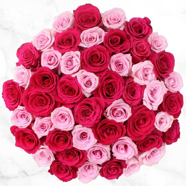 Valentine's Day 50-stem Hot Pink & Light Pink Roses