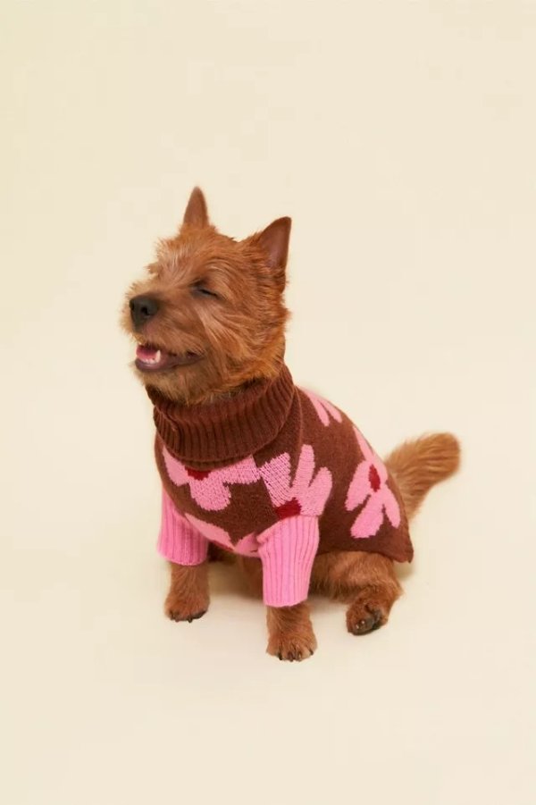 Always Be Kind Floral Pet Sweater