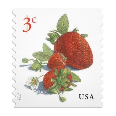 草莓邮票3000张