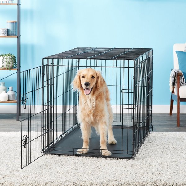 Carlson Pet Products Secure & Compact Double Door Collapsible Wire Dog Crate, X-Large - Chewy.com
