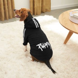 Chewy Select Dog Coats, Sweaters & Hoodies on Sale