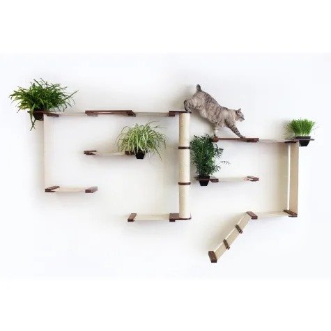 CatastrophiCreations The Cat Mod Gardens Complex with Planters for Cats in English Chestnut, 109 IN W X 63 IN H | Petco