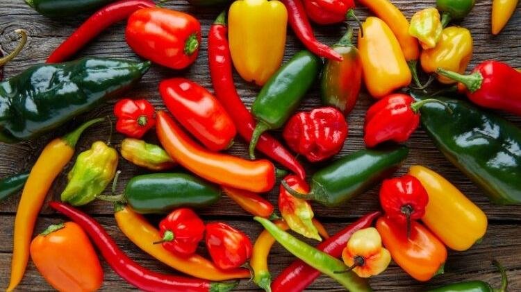 EATING YOUR VEGGIES: DELICIOUS PEPPER DISHES