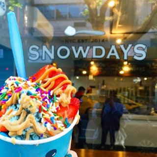 Snowdays - 纽约 - Bayside