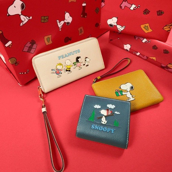 COACH Outlet Coach X Peanuts Small Zip Around Wallet With Snoopy Walk Motif  