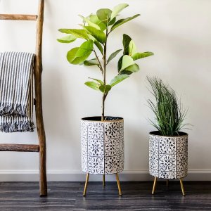 Overstock Select Gift for Plant lover On Sale