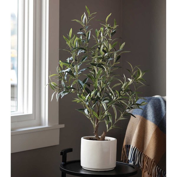 Faux 30" Olive Plant