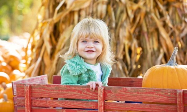 One or Two Unlimited-Ride Wristbands at Pa's Pumpkin Patch (Up to 69% Off)