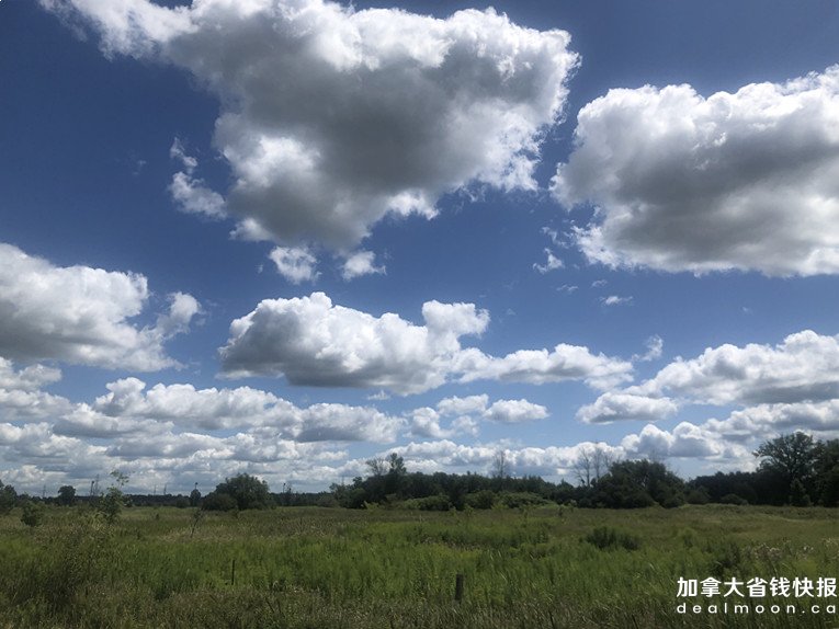 微信图片_20190810221125.jpg