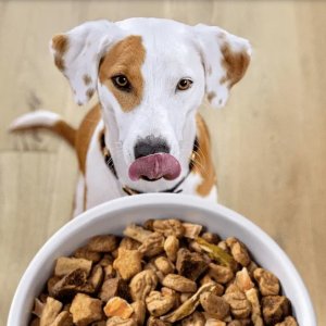 Petco True Meals  pet  food sale