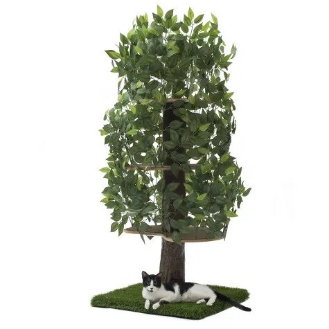 Luxury Square Cat Tree, 60" H | Petco