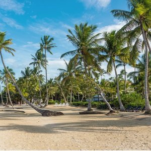 多米尼加沙滩度假 5晚全包型海滨酒店+往返机票 适合家庭出行