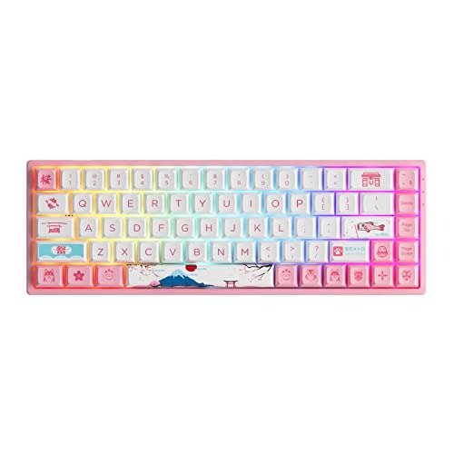 3068B Plus World Tour Tokyo R2 65% Percent 68-Key RGB Hot-swappable Mechanical Gaming Pink Keyboard, 2.4G Wireless/Bluetooth/Wired with PBT Dye-Sub Keycaps for Mac & Win (Switch Jelly Pink)