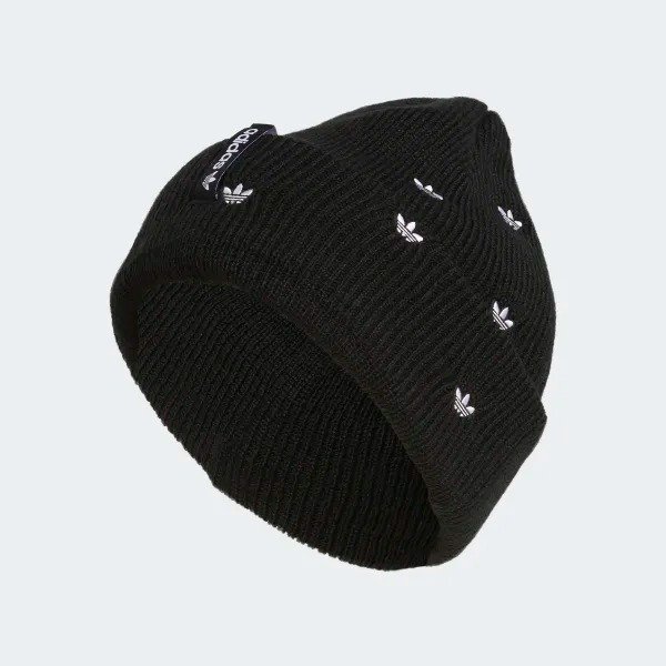 Embroidery Beanie