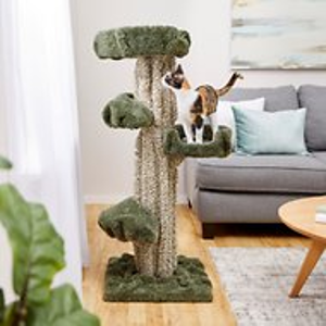 Chewy Cat Trees & Furniture Deals