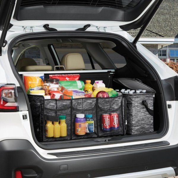 Insulated Trunk Organizer and 30-Can Cooler