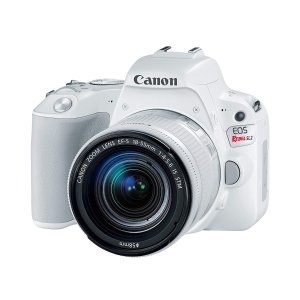 Canon EOS Rebel SL2 + EF-S 18-55mm 单反套机